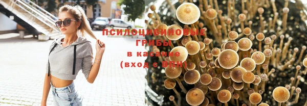 трава Хадыженск