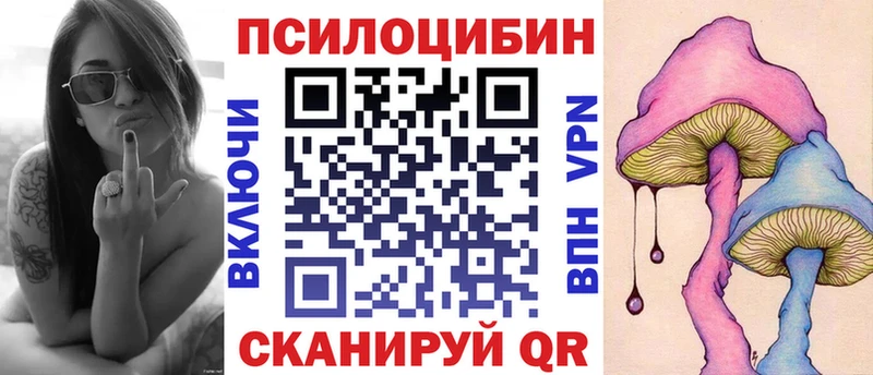 Купить где  Родники  Псилоцибиновые грибы MAGIC MUSHROOMS 